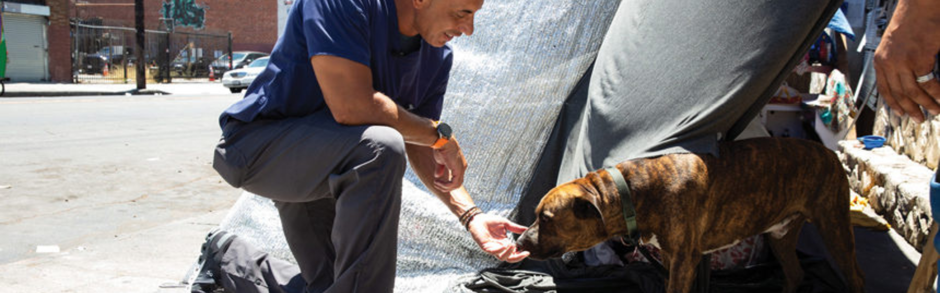Street Vet Charity Worker with a Homeless Dog