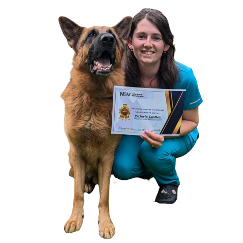 Veterinary Nurse Victoria Castles